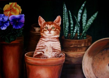 Pittura intitolato "gatto" da Ale Aleart, Opera d'arte originale, Olio