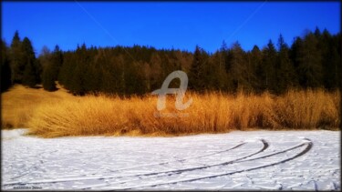 Photography titled "4 colors lago di Tr…" by Ale In Art, Original Artwork