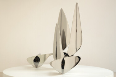 Sculpture titled "Barricada 14 AIP S45" by Alejandro Vega Beuvrin, Original Artwork, Stainless Steel