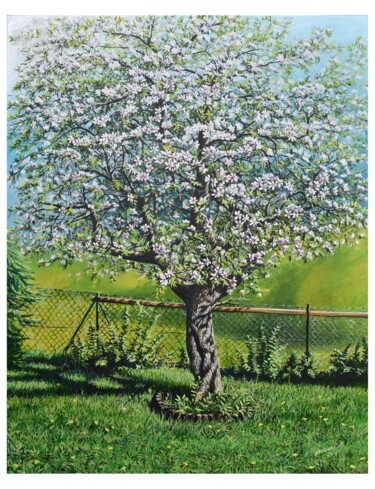 Painting titled "STARA JABŁOŃ" by Aleksander Stolicki, Original Artwork, Acrylic