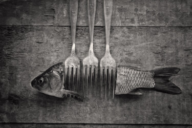 Fotografie mit dem Titel "Это не рыба" von Aleksandr Koviazin, Original-Kunstwerk, Digitale Fotografie