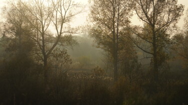 Photographie intitulée "Сонное солнце грибн…" par Aleksandr Manoilenko, Œuvre d'art originale, Photographie numérique
