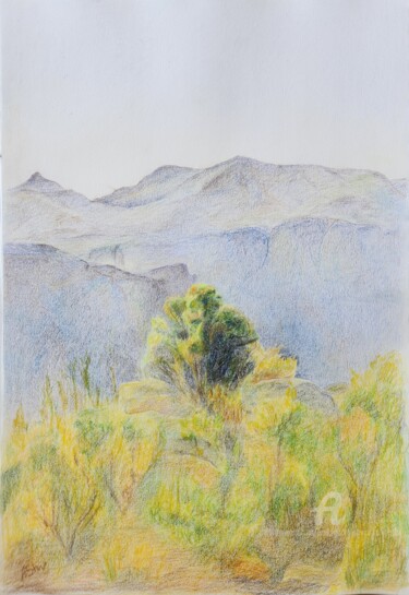 Картина под названием "Burning Bush" - Aleksandra Shvetskaia (ASHV), Подлинное произведение искусства, Цветные карандаши