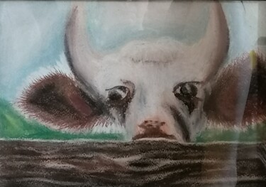 Desenho intitulada ""bull"" por Aleksandra Zbirun, Obras de arte originais, Pastel Montado em Outro painel rígido