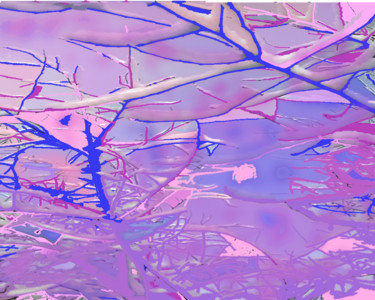 Digital Arts titled "Pink-lilac-cornflow…" by Marina Alexandrova, Original Artwork