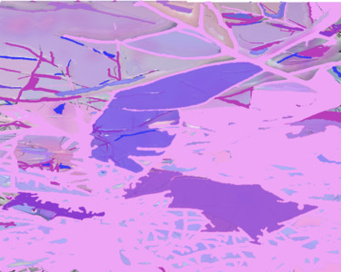 Digital Arts titled "Pink-purple branches" by Marina Alexandrova, Original Artwork