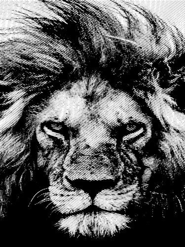 Gravures & estampes intitulée "⚜️ King lion ⚜️" par Aleksei Zhdanov, Œuvre d'art originale, Embossage