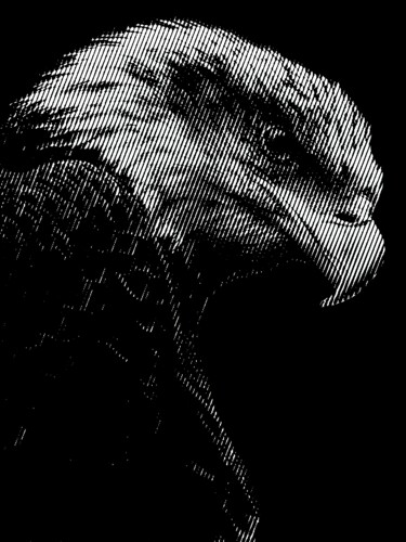 Estampas & grabados titulada "⚜️ Eagle ⚜️" por Aleksei Zhdanov, Obra de arte original, Gofrado en papel