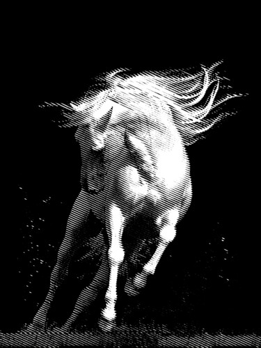 Estampas & grabados titulada "⚜️ Horse ⚜️" por Aleksei Zhdanov, Obra de arte original, Gofrado en papel Montado en artwork_cat.