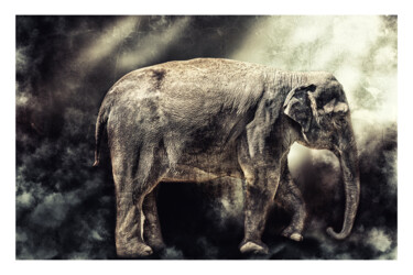 Digitale Kunst getiteld "Elephants" door Aleksey Gorbenko, Origineel Kunstwerk, Digitale fotografie