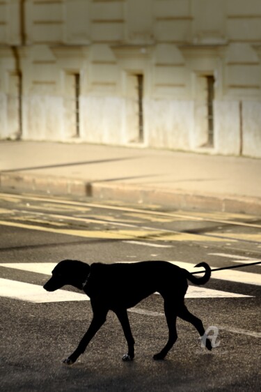 Photography titled "Underdog" by Alen Gurovic, Original Artwork, Non Manipulated Photography