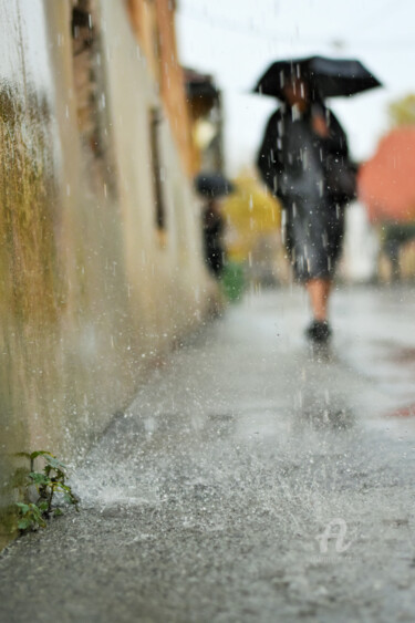 Photography titled "Rainy day v2" by Alen Gurovic, Original Artwork, Non Manipulated Photography