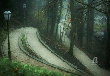 Fotografía titulada "Path to the top" por Alen Gurovic, Obra de arte original, Fotografía no manipulada