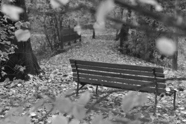 Photography titled "View of Bench in bl…" by Alen Gurovic, Original Artwork, Non Manipulated Photography