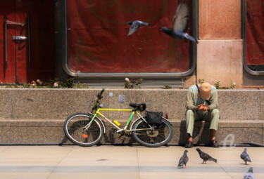 Фотография под названием "Pigeons at ban Josi…" - Alen Gurovic, Подлинное произведение искусства, Не манипулируемая фотограф…