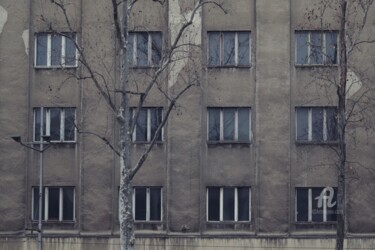 "Windows" başlıklı Fotoğraf Alen Gurovic tarafından, Orijinal sanat, Fotoşopsuz fotoğraf