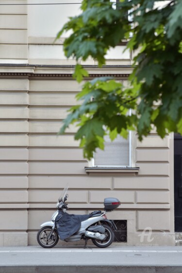 Fotografia zatytułowany „motorcycle under wi…” autorstwa Alen Gurovic, Oryginalna praca, Fotografia nie manipulowana