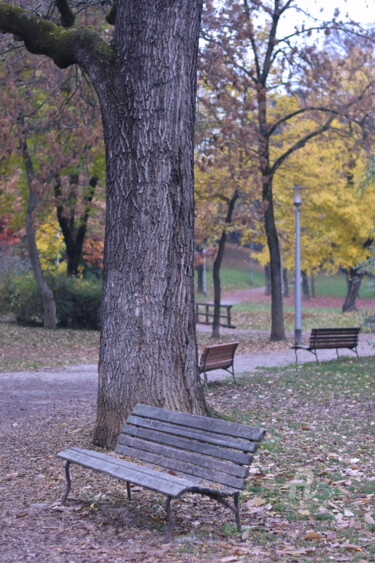 Photography titled "Autumn 2021" by Alen Gurovic, Original Artwork, Digital Photography