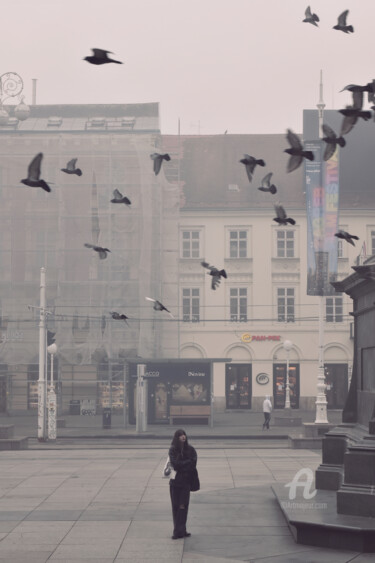 Photography titled "Birds in flight" by Alen Gurovic, Original Artwork, Digital Photography