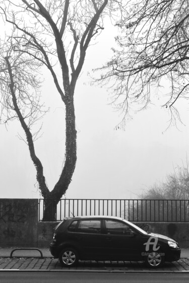 Photography titled "Tree and car in the…" by Alen Gurovic, Original Artwork, Digital Photography