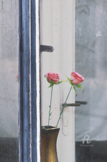 Photographie intitulée "Two roses" par Alen Gurovic, Œuvre d'art originale, Photographie numérique