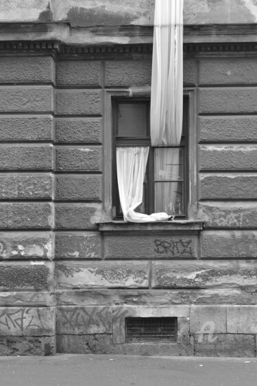 Photography titled "Fancy window" by Alen Gurovic, Original Artwork, Digital Photography