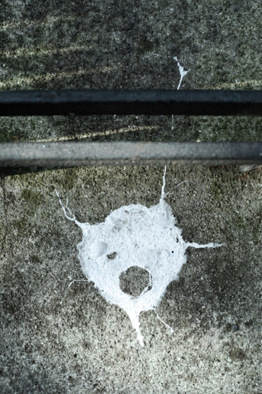 Photographie intitulée "Shit from above" par Alen Gurovic, Œuvre d'art originale, Photographie numérique