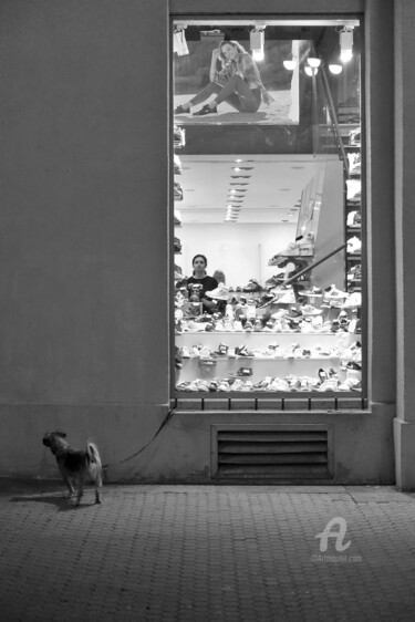 Photographie intitulée "The dog that waits" par Alen Gurovic, Œuvre d'art originale, Photographie numérique