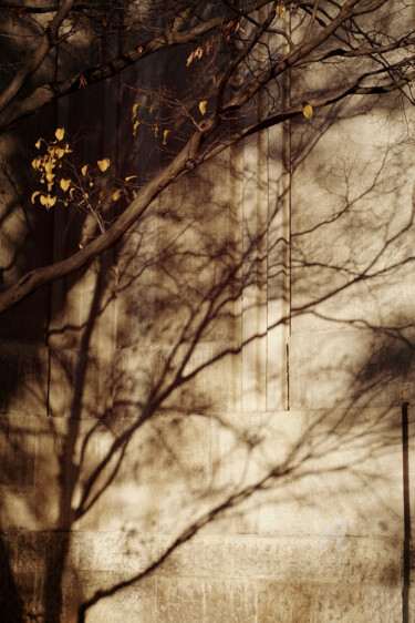 Фотография под названием "Shadows of autumn" - Alen Gurovic, Подлинное произведение искусства, Цифровая фотография