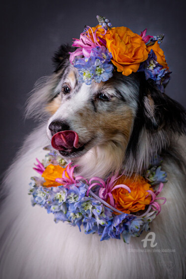 "Hospitable. LIMITED…" başlıklı Fotoğraf Alena Khokhlova tarafından, Orijinal sanat, Dijital Fotoğrafçılık