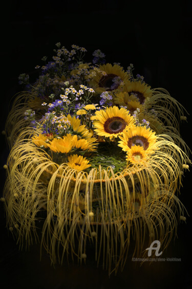 Fotografía titulada "Flowers of sun" por Alena Khokhlova, Obra de arte original, Fotografía digital