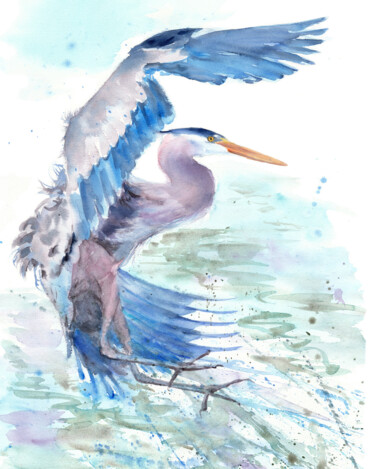 Peinture intitulée "Flying blue heron" par Alena Masterkova, Œuvre d'art originale, Aquarelle