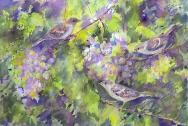 Painting titled "Grapes and sparrows." by Alena Masterkova, Original Artwork, Watercolor