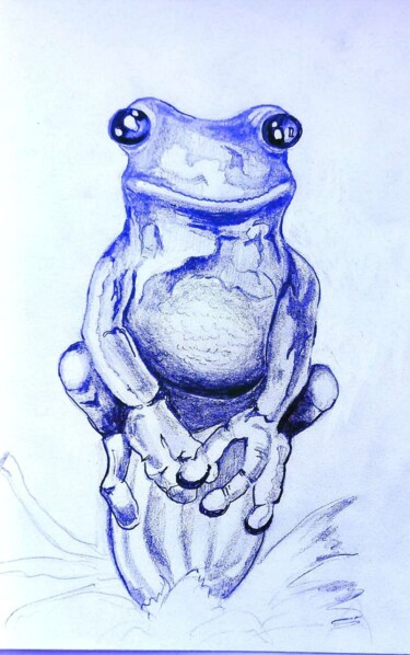 Dessin intitulée "Frog" par Arthur Savachenko, Œuvre d'art originale, Crayon