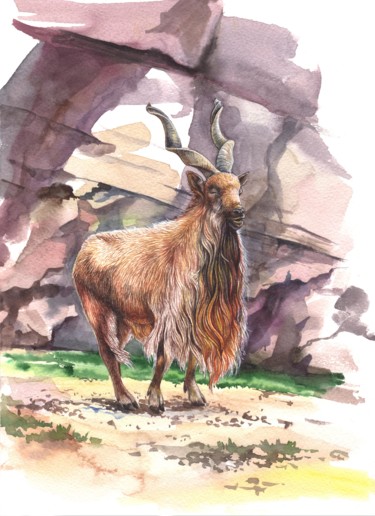 Mountain-goat Schilderij getiteld "Mountain-goat" door Алеся Николаева, Origineel Kunstwerk, Aquarel