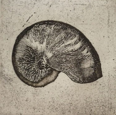 Printmaking titled "Conchyliologie 0.11" by Alessandra Dalla Rosa, Original Artwork, Etching