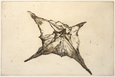 Malerei mit dem Titel "la-forme-des-idees.…" von Alessandra Dalla Rosa, Original-Kunstwerk