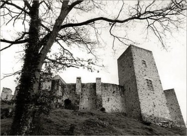 Photographie intitulée "Château de Chevreus…" par Jean-Louis Alessandri, Œuvre d'art originale
