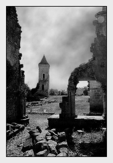 Photographie intitulée "Abbaye de Blasimon 2" par Jean-Louis Alessandri, Œuvre d'art originale