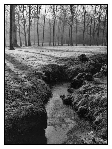 Photographie intitulée "le ruisseau croupi…" par Jean-Louis Alessandri, Œuvre d'art originale