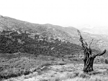 Photographie intitulée "Le Vieil arbre" par Jean-Louis Alessandri, Œuvre d'art originale