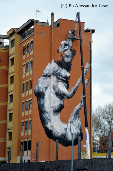 Fotografia intitolato "Street Art. Murales…" da Alessandro Lisci, Opera d'arte originale