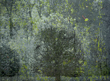 Картина под названием "Дерево 2" - Алексей Тимохин, Подлинное произведение искусства, Масло