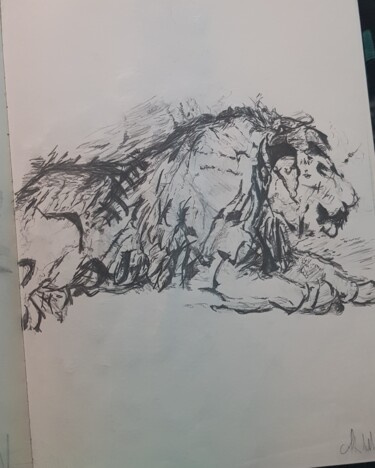 Drawing titled "Leone" by Alex Iattarelli (Al_iatar), Original Artwork, Pencil