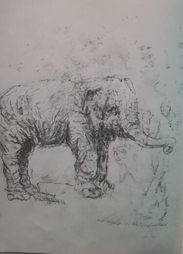 Tekening getiteld "Elefante" door Alex Iattarelli (Al_iatar), Origineel Kunstwerk, Potlood