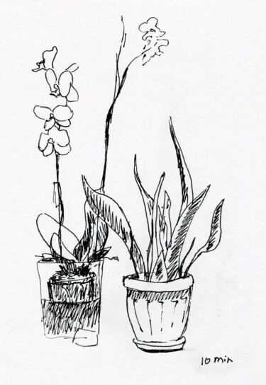 Drawing titled "Plants. 10 min sket…" by Alex Vainova, Original Artwork, Ink