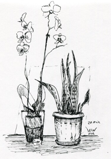Drawing titled "PLANTS. 20 MIN SKET…" by Alex Vainova, Original Artwork, Ink