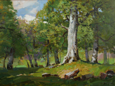 Painting titled "Old Beech" by Alexander Babich, Original Artwork, Oil