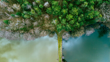 Fotografia zatytułowany „Der Baum - Vogelper…” autorstwa Alexander Kulla, Oryginalna praca, Fotografia cyfrowa