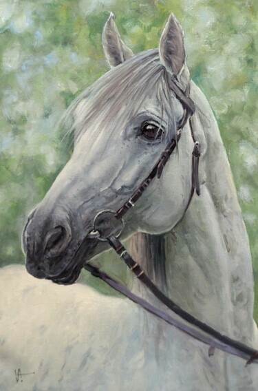 Painting titled "White Horse" by Alexander Volya, Original Artwork, Oil
